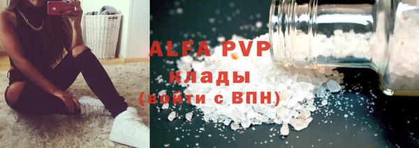 ПСИЛОЦИБИНОВЫЕ ГРИБЫ Инсар