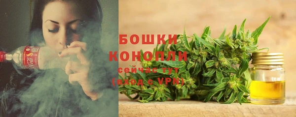 ПСИЛОЦИБИНОВЫЕ ГРИБЫ Инсар