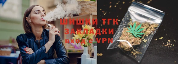 ПСИЛОЦИБИНОВЫЕ ГРИБЫ Инсар