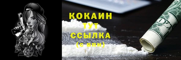 ПСИЛОЦИБИНОВЫЕ ГРИБЫ Инсар