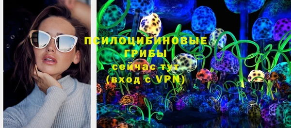 меф Инта