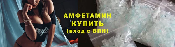 ПСИЛОЦИБИНОВЫЕ ГРИБЫ Инсар