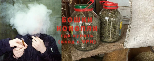 ПСИЛОЦИБИНОВЫЕ ГРИБЫ Инсар