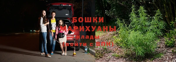 ПСИЛОЦИБИНОВЫЕ ГРИБЫ Инсар