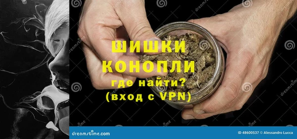 ПСИЛОЦИБИНОВЫЕ ГРИБЫ Инсар