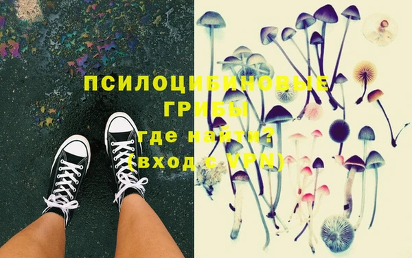 ПСИЛОЦИБИНОВЫЕ ГРИБЫ Инсар