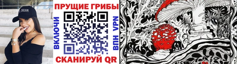 Купить закладки  Хабаровск  Галлюциногенные грибы мухоморы 
